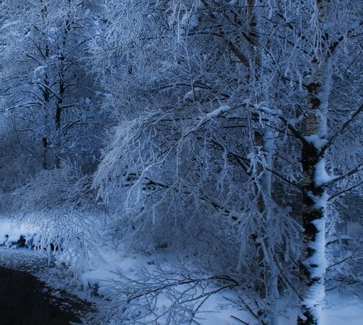迷你世界0元购买皮肤永久下载最新版