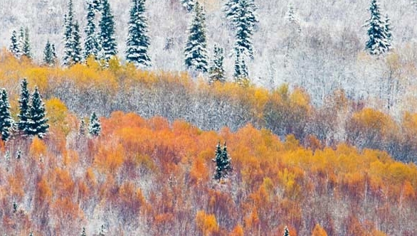 钓鱼魔兽世界攻略