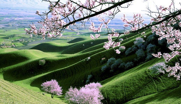 2002年世界杯中国队