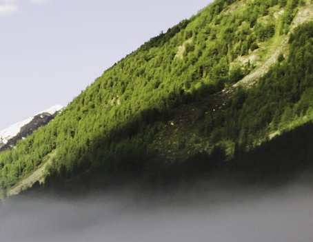 一不小心成为全世界的信仰TXT下载