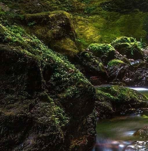 山西科技大学是211还是985