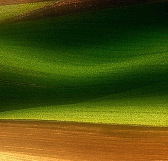 理想世界在线观看