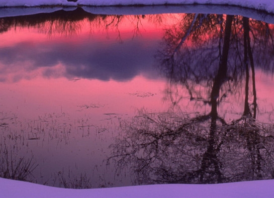 南方科技大学怎么招生