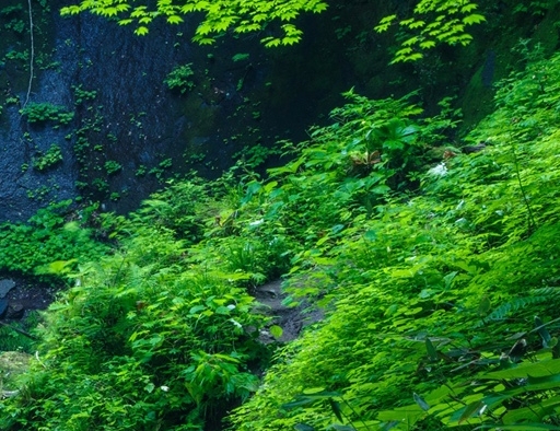 北京旷视科技有限公司地址