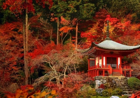 世界最快的车最高时速是多少