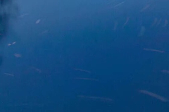 我的世界药水配方大全 药水酿造