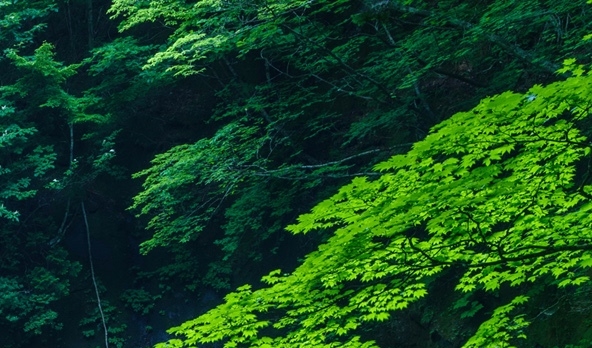 罗源湾海洋世界一日游作文