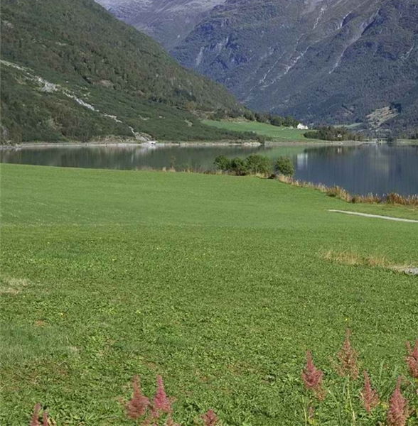 黄河科技学院是几本排名