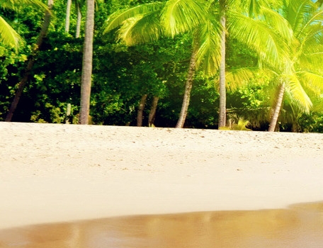 一个人失眠全世界失眠