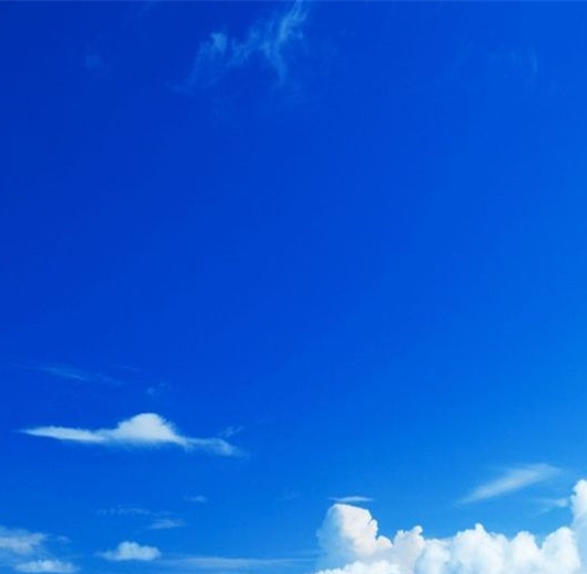 东莞科技局卓庆背景揭秘：卓庆家乡及领导分工全解析