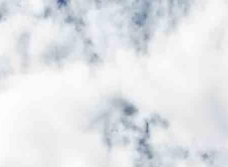 东莞科技局卓庆哪里人