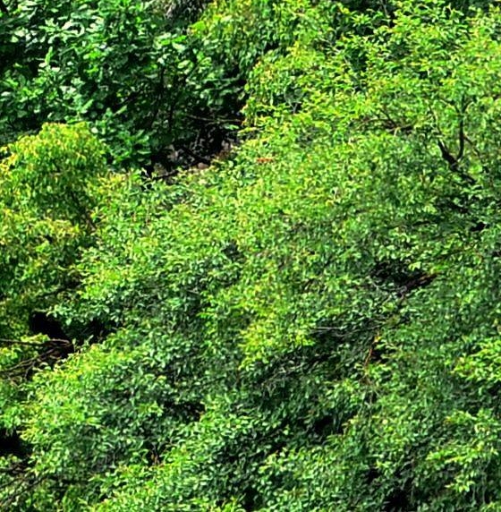 南方科技大学研究生院复试名单