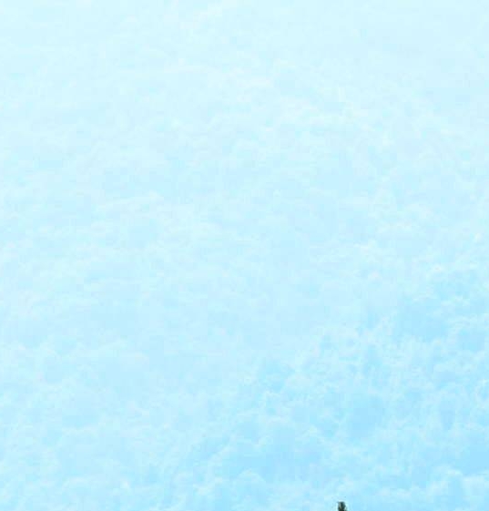 战争世界姚贝娜