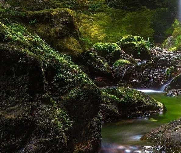 02年世界杯中国队阵容