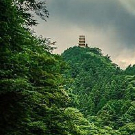 全球顶级学府盛会：世界大学排名揭晓，跨国高等教育交流与合作迎来新篇章
