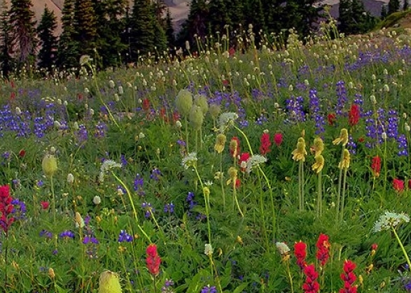 10000米世界纪录是多少