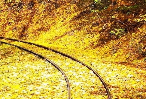 江苏科技统计中心余景亮