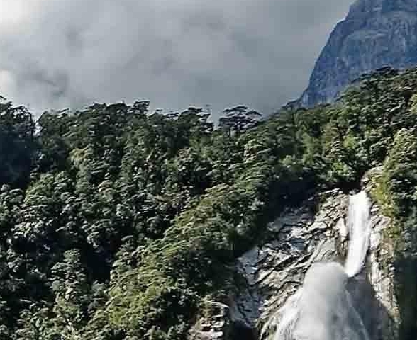 完美世界小说无弹窗免费全文手机阅读