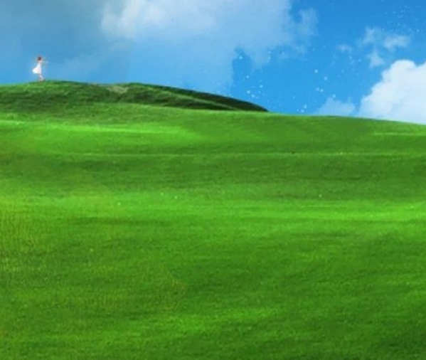 不抱怨的世界读后感