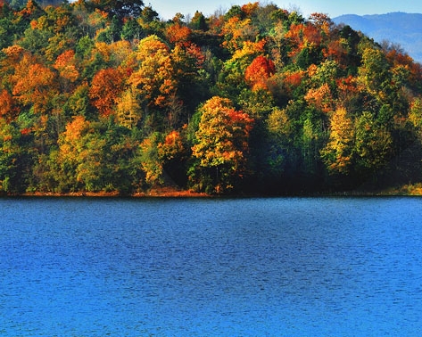 华立科技职业技术学院录取查询