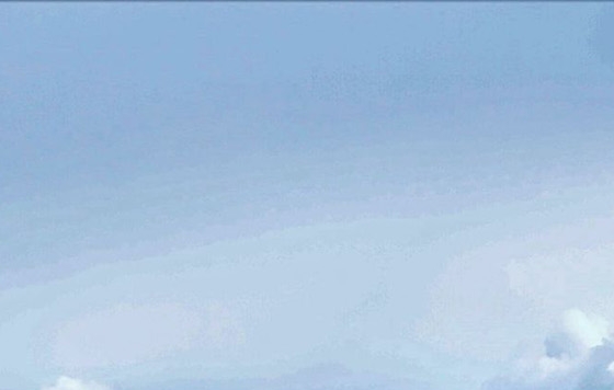 世界小姐盛宴：揭秘世界小姐选美大赛严格选拔条件