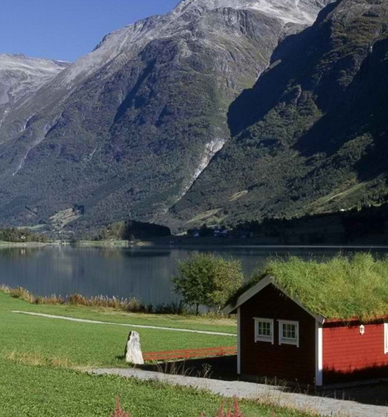 巧云科技怎么查询会员的预存金额