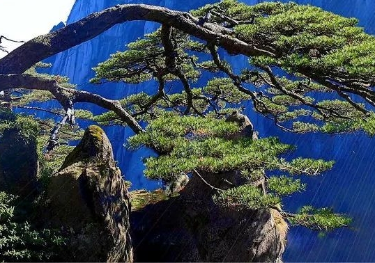 从你的全世界路过百度云 百度网盘