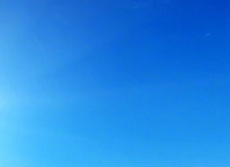 完美世界免费观看105集