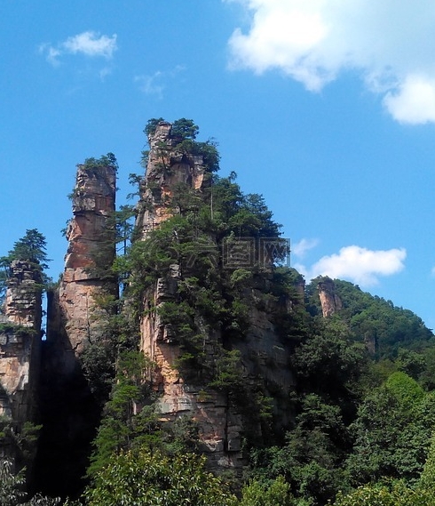 游泳世界纪录一览表