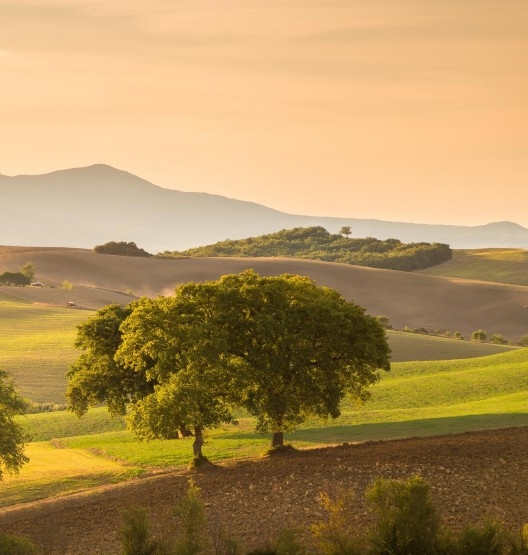 未来超级科技落雪一剑