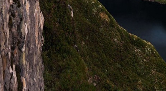 广州慕可生物科技有限公司管培生