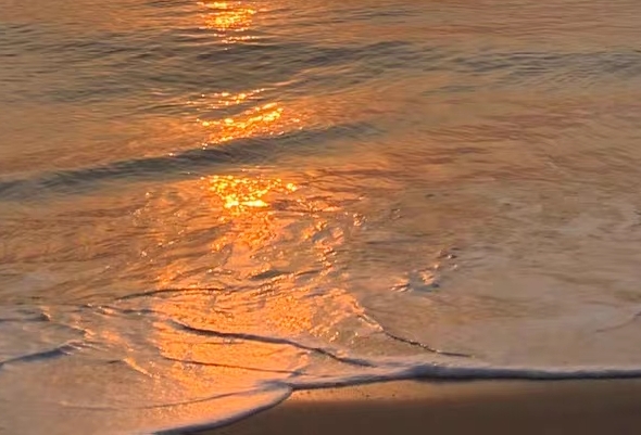 世界上最大的鱼缸