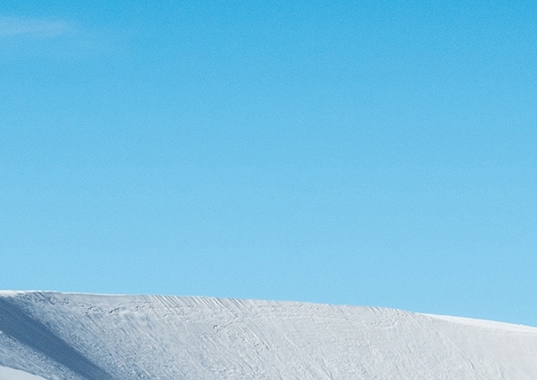 新世界葡萄酒产酒国家有哪些