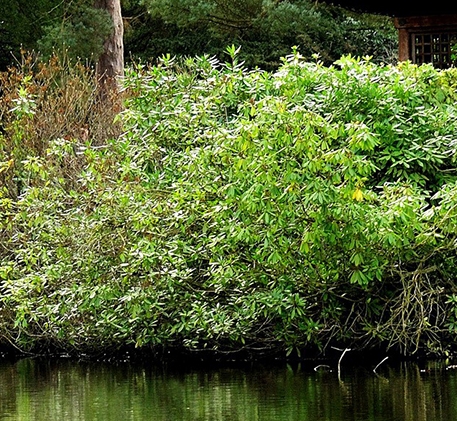科技活动周是从哪一年开始的