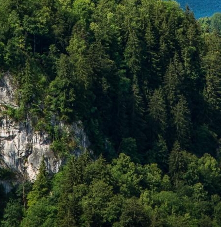 立定跳远世界纪录中国纪录