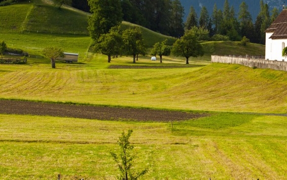 178魔兽世界人口普查数据库