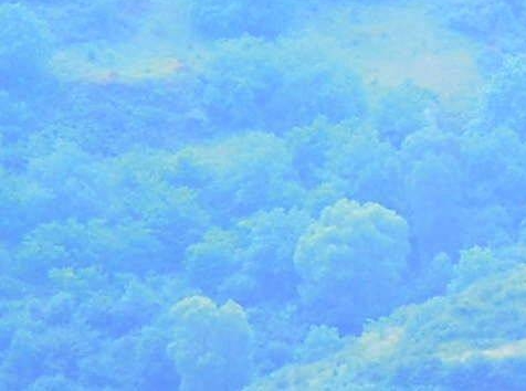 太原电光防爆科技股份有限公司