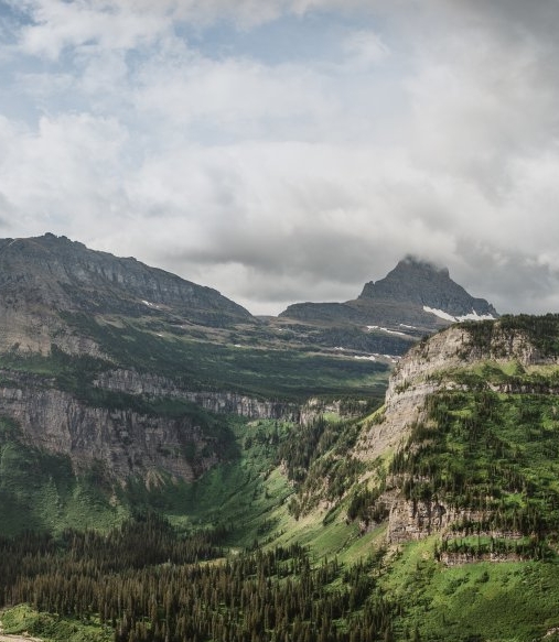 上海科技大学录取分数线2021