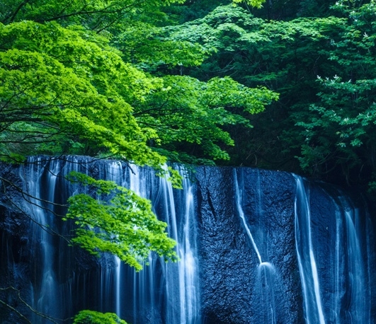 世界消防日活动主题