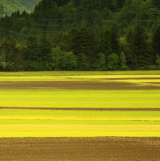 环游地球80天国语高清