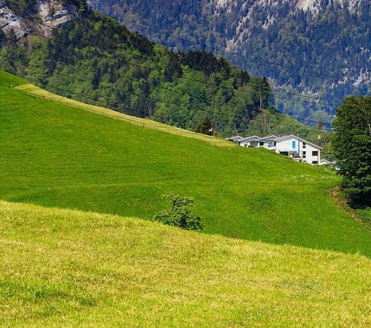 博德大世界精校版