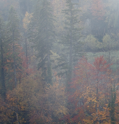 世界五百强企业排名