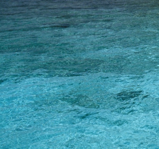 新大陆科技集团有限公司地址