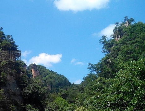 传奇世界中变有元神