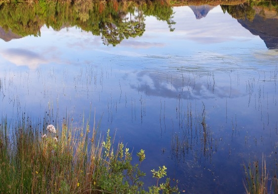 核心主义价值观手抄报内容精选