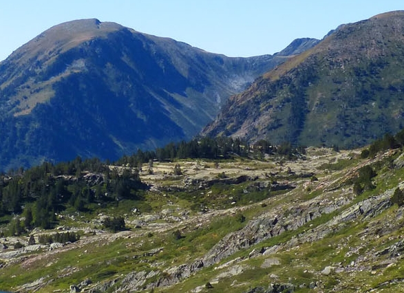 梅西参加过几届世界杯