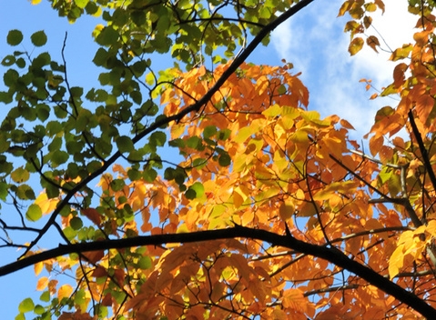 中二病少女要拯救世界剧照