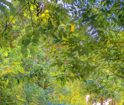 北京前十名职业技术学院