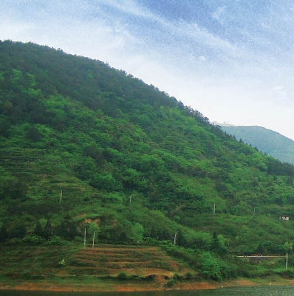 世界上最贵的口红