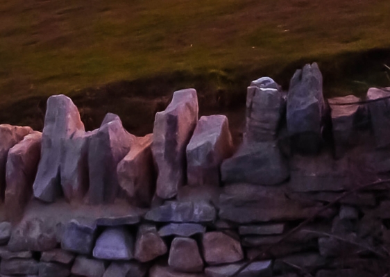 陕西林业科技开发设计研究院有限公司